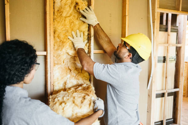 Best Insulation Replacement Services  in Cedar Grove, WI